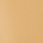 Liquitex BASICS Acrylic Paint, 400ml (13.5-oz) Bottle, Unbleached Titanium