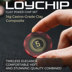 Clay Poker Set with Numbered Chips 300-pcs for Card Board Game, 14g Weight with Playing Cards for Texas Hold'em, Blackjack Gambling, Late Night Poker Games
