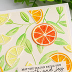 BAOFALI 3D Embossing Folders Lemon Textured for Card Making,Embossing Template Paper Card Embossing Stencil for DIY Scrapbooking Photo Album Card Paper Craft Decoration 6.3" L x 4.5" W