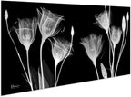 Empire Art Direct Frameless Free Floating Tempered Glass Panel Graphic Flower Wall Art Ready to Hang, 24" x 48", Gentian X-ray