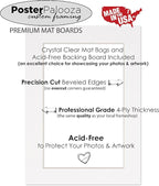 8x10 Mat Bevel Cut for 5.5x8.5 Photos - Acid Free Mid Grey Precut Matboard with Backing Board and Crystal Clear, Self Seal Photo Mat Bag - for Pictures, Photos, Framing - 4-ply Thickness
