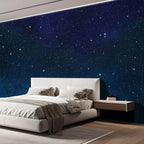 wall26 Large Wall Mural Beautiful Scenery of The Starry Night Self-Adhesive Vinyl Wallpaper Removable Wall Sticker - 100" x 144"