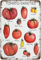 Funny Tin Sign Tomato Varieties Poste Metal Poster Plaques for Home Living Room Kitchen Cafe Bar Vintage Wall Decor Metal Sign 12 x 8 IN