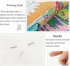 Fanxvivy Stamped Cross Stitch Kits for Adults Beginners Pillow Needlepoint Kit with Embroidery Pattern Needlework Kit Prestamped Stitches Kit 11CT Cross Stitching-Seaside Flower Street 18x18 inch