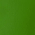 Liquitex BASICS Acrylic Paint, 250ml (8.5-oz) Tube, Light Green Permanent