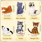Mayboos 6 Pcs Needle Felting Kit, Animal Needle Felting Beginner Kits Wool Felt Needle Felting Tools with Instruction for DIY Craft Animal Home Decoration (Cute Cat)
