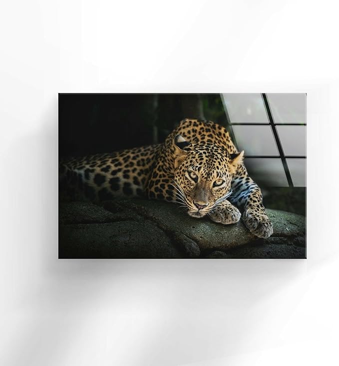 My Photostation.com 43Wx27H'' Fierce Leopard Glass Wall ArtTempered Glass Printing Wall Decor Large Wall Art Wall Hangings
