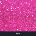 High Capacity 260g Metalic Glitter Shaker Bottle Package - Fine Glitter for Tumbler, Jewelry Making, Epoxy Resin DIY Craft, Face Body Nail Art (Plum)