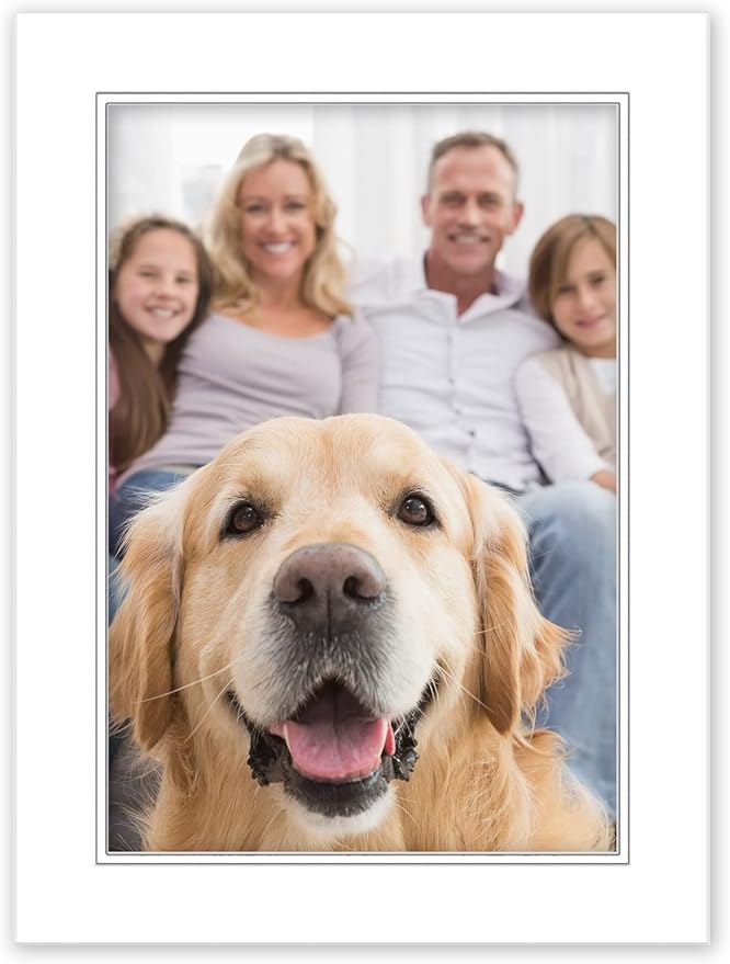 16x20 Mat for 13x19 Photo - Precut White on White Double Mat Picture Matboard for Frames Measuring 16 x 20 Inches - Bevel Cut Matte to Display Art Measuring 13 x 19 Inches - Acid Free ONE MAT