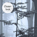 AFZEVEB-Foggy Dark Forest Wallpaper Landscape Tree Wall murals for Bedroom 114"x74"(Not Peel and Stick)