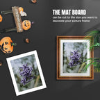 AUEAR, 15 Pack 12x16 Uncut Matte Boards White Photo Mat Board Great for Picture Framing, Print, Artwork