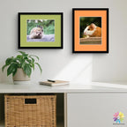 Mat Board Center, Pack of 50, 11x14 for 8x10 Mixed Color Mats - Acid Free, 4-ply Thickness, White Core - for Pictures, Photos, Framing