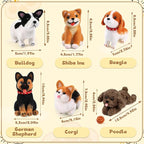 Mayboos 6 Pcs Needle Felting Kit, Animal Needle Felting Beginner Kits Wool Felt Needle Felting Tools with Instruction for DIY Craft Animal Home Decoration (Cute Dog)
