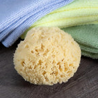 Sea Wool Sponge - All Natural Honeycomb Renewable Sea Sponge, Medium, Approx. 4 Inches