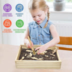 Xylolin Dinosaur Excavation Archaeology Dig Kit for Kids, Fossil Explore Sensory Bin Toys, Dino Skeletons Bones Puzzle Game, Archaeology Science STEM Toys for Boys and Girls (Tyrannosaurus)
