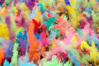 ColorMarathon(TM) Premium Quality non-toxic HOLI Colors color powder - 12 Lbs (6 colors X 2lbs Ea color) RED, YELLOW, PINK, BLUE, GREEN, AND PURPLE - SHIPS FROM USA