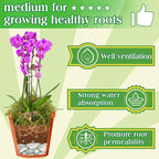 Halatool 1.1LB Green Moss for Potted Plants, 25QT Orchid Moss Potting Mix, Forest Moss for Indoor Plants, Indoor Potting Plant Moss for Repotting Terrariums Garden Reptiles
