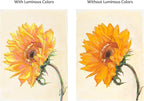 Tusc & Pine Artist Oil Paint - Luminous Yellow, 150 ml, Non-Yellowing, Rich & Creamy Consistency, Maximum Pigment Load, Small Batch Milled Oil Paints Made in the USA for Professional Artists