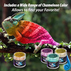 BALTIC DAY - Mica Powder, 100 Colors - 10 Chameleon Mica Powder for Epoxy Resin 10g/Bottle - Resin Colorant for Lip Gloss, Soap Making, Candle, Nail, Bath Bomb, Paint, Car Freshies