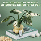 OEHPICC Needle Felting Kit for Beginners, Monstera Potted Plant Felt Kit, Wool Felting Kit with Felting Needles, Felting Pad and Instructions, Perfect for Office Indoor Greenery Present Idea