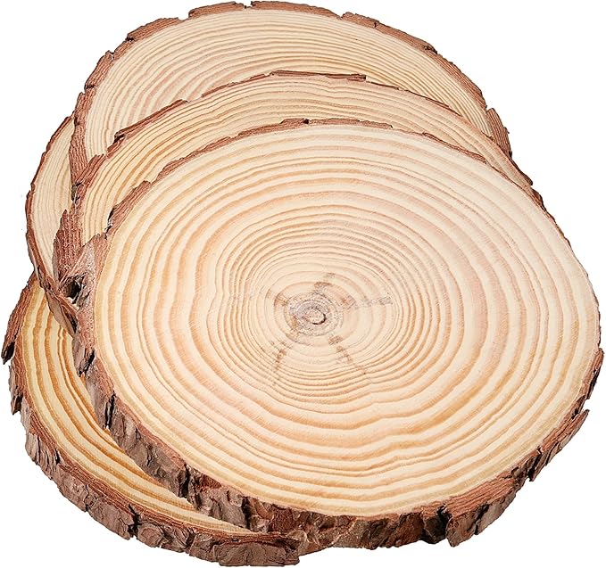 JEUIHAU 12 PCS 5.5-5.9 Inches Natural Unfinished Wood Slices, Round Wooden Tree Bark Discs, Wooden Circles for DIY Crafts, Christmas, Rustic Wedding Ornaments