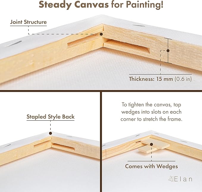 Elan Stretched Canvases 8x10 Inch, 6-Pack Blank Canvases for Painting 8 oz, Triple Primed Stretched Canvas for Painting, 8x10 Canvas Bulk