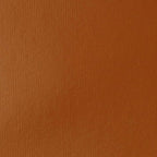 Liquitex BASICS Acrylic Paint, 400ml (13.5-oz) Bottle, Raw Sienna