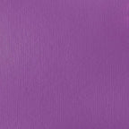 Liquitex BASICS Acrylic Paint, 118ml (4-oz) Tube, Brilliant Purple
