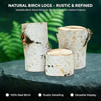 17 Inch Natural Birch Logs - Decorative Dried Birch Wood Logs for Fireplace, Wedding Centerpieces - Unfinished Wood DIY Crafts, & Home Décor - Birch Log Bundle for Indoor Display (6 PCS) (2.5"-4" DIA)