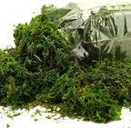 Moss for Plants Indoor, 16OZ Fresh Green Artificial Moss for DIY Crafts, Table Centerpieces- Faux Grass for Hamsters Micro-Landscape Terrariums Centerpieces Decor (Fresh Green)