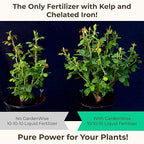 10-10-10 All Purpose Plant Food - Liquid Fertilizer with Seaweed Kelp & Iron - Indoor & Outdoor Plant Food, Vegetables, Flowers, Lawn & Garden 1x16 oz