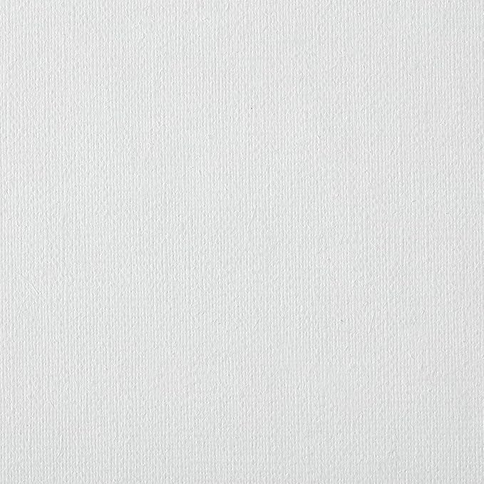 Centurion Deluxe Professional Oil Primed Linen Stretched Canvas, 11oz Linen, 20x30 - Box of 6, 0.67" Deep Canvases, Kiln-Dried Stretchers, Back Stapled, Premium Medium Weight Canvas for Oil Paintings