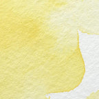 Winsor & Newton Professional Water Colour Paint, 0.17-oz Tube, Winsor Yellow