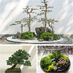 Fake Green Moss for Potted Plants, 10.6OZ Moss Decor Artificial Faux Moss for Crafts Preserved Moss for DIY Decorative Moss Table Centerpieces Decor Fairy Garden Floral Wedding (300g) (Dark Green)