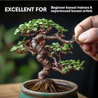 UTILE Bonsai Wire - Armature Aluminum Wire 100 ft 18 Gauge 1.2 mm Bonsai Training Wire, Tree Kit, Plant, Sculpting, Crafts, Bendable, Gardening, Beading and Jewelry Making (Copper, Brown)