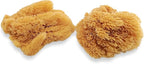 Natural Sea Sponges for Artists - Unbleached 5"-5.5" 2pc Value Pack: Great for Painting Decorating Texturing Sponging Marbling Effects Faux Finishes Crafts & More by Lullingworth®