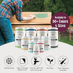 Chalky Chicks All-in-One Chalk Paint for Furniture or Cabinet - 4 Fl Oz - Matte Finish Logan Berry (Plum) for Metal, Wood Furniture Paint - No Sanding All-in-One for Home Decor & Crafts, USA Made