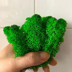 Preserved Reindeer Moss Natural Green DIY Kit Gardenning Art Wall Decor Florist Decor Easter Table Decor Wedding