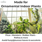 Leaf Shine Spray for Indoor Plants – Plant Leaf Cleaner & Shine for Real House Plants – Fragrance-Free, Non-Sticky, Streak-Free Finish, 8 fl oz