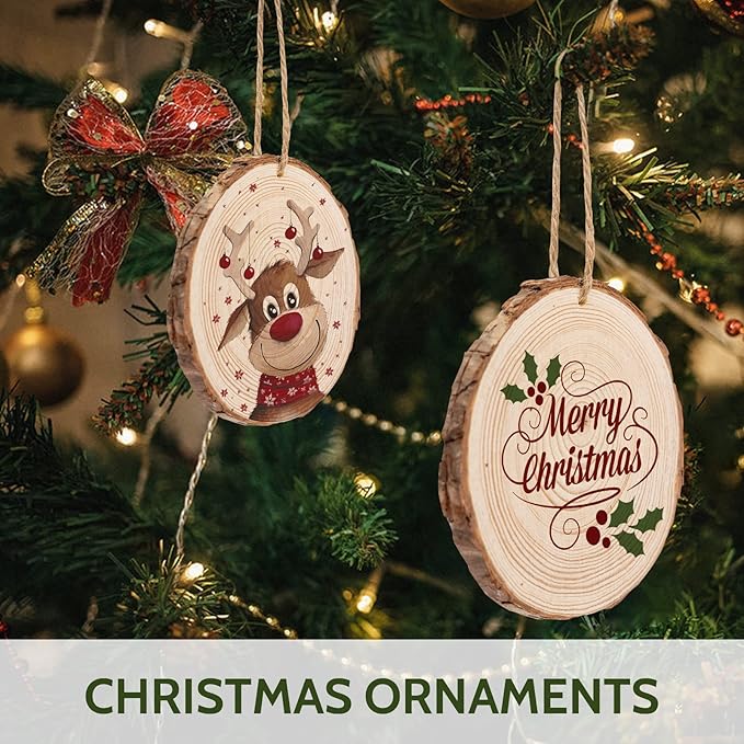 Falling in Art 2.3-3.1 Inches Natural Wood Slices Set for Crafts - 25Pcs Round Wood Discs with Pre-drilled Hole for DIY Projects, Christmas Ornaments and Wedding Decoration