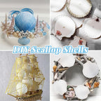 LUCKY BABY 16pcs Scallop Shells White Natural Sea Shells for Crafts 2.7-3.5 Inches Seashells for DIY Crafting Beach Wedding Home Decoration Baking (Pack of 2)