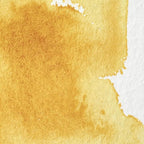 Winsor & Newton Professional Watercolor, Half Pan, New Gamboge