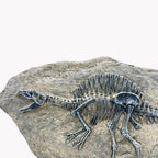 XINDAM Resin Spinosaurus Dinosaur Fossil Statue Model Simulated Skeleton Home Office Display Decorative Craft Box Decoration (Style 8)