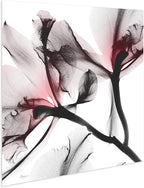 Empire Art Direct Frameless Free Floating Tempered Glass Panel Graphic Wall Art Ready to Hang, 24" x 24", Coral Luster