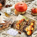 Zhanmai 12 Pack Pre Drawn Canvas for Painting Sip and Paint Kit 8" x 10" Paint Party Set Canvas Painting Pre Printed Canvases for Party Favor DIY Virtual Adult's Date Night (Harvest Autumn)