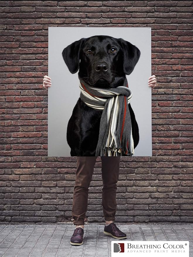 Premium Lyve Matte Canvas Paper Perfect For Use on Professional Makes and Models of Epson, Canon and HP printers preferred by Professionals. 19 mil textured Canvas offered in a 54 inch by 40 ft roll