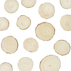 Super Z Outlet Mini Assorted Size Natural Color Tree Bark Wood Slices Round Log Discs for Arts & Crafts, Home Hanging Decorations, Event Ornaments (5-8cm, 20pcs)
