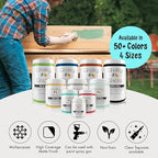Chalky Chicks All-in-One Chalk Paint for Furniture or Cabinet - 4 Fl Oz - Matte Finish Aqua Bay (Aqua Blue) for Metal, Wood Furniture Paint - No Sanding All-in-One for Home Decor & Crafts, USA Made