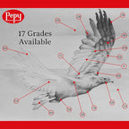 Pepy Graphite Professional Drawing Pencils - Set of 12 4B Pre-Sharpened Black Lead Pencils; Perfect for Drawing, Sketching and Shading, Graphic and Fine Art