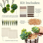 Lifelines FlowCrafts, Cord-Wrapped Planters - Create 2 Unique Planters with Cords in Multi-Colors, Leather Accents, Faux Plant Stems & Decorative Stones - Sensory Arts & Crafts Kit for Teens & Adults